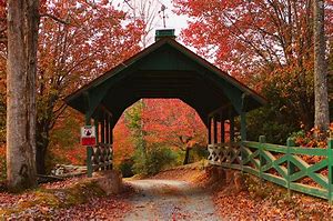 Autumn in GA 2019 3