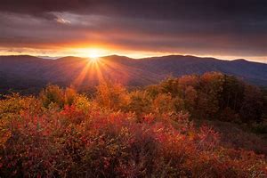 Autumn in GA 4