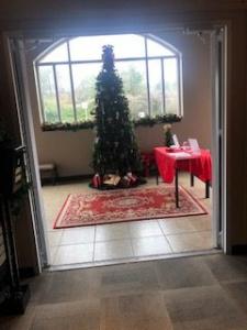 LMMDI Shot of the lobby with Christmas Tree 8