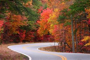 autumn in GS